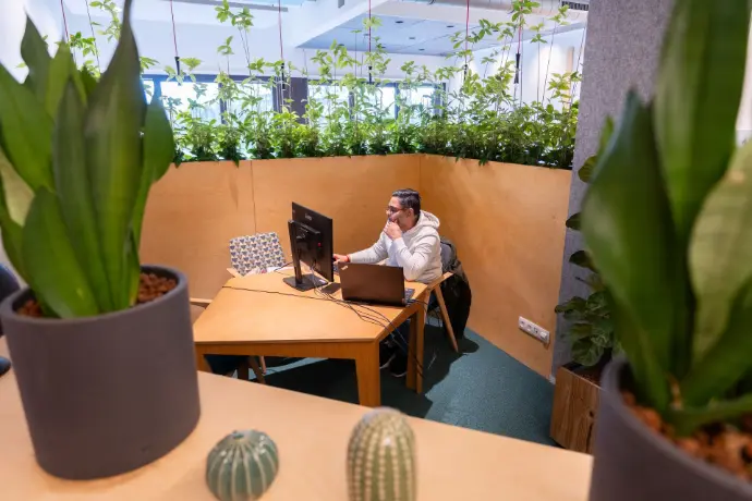 Monsieur travaillant au coworking sur son bureau entouré de végétation